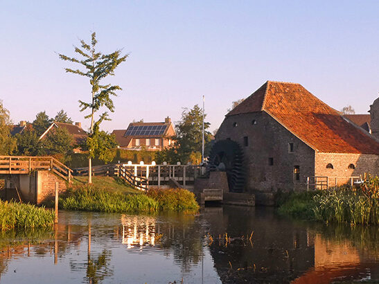 header vrienden en formulier