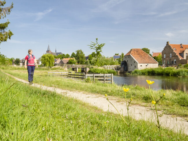 20220617-neerbeek-bl012